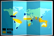 The El Niño of 2015-2016